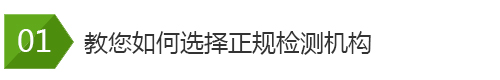 雄厚的企業實力